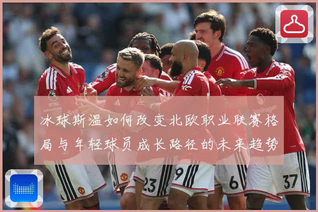 冰球斯温如何改变北欧职业联赛格局与年轻球员成长路径的未来趋势成长观察：最新赛事动态与深度分析