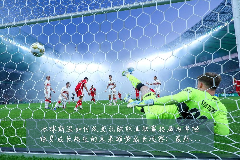冰球斯温如何改变北欧职业联赛格局与年轻球员成长路径的未来趋势成长观察:最新赛事动态与深度分析